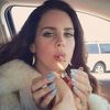 blossomcake8