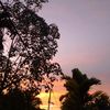 zaraa_2131