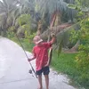 tphaidangg