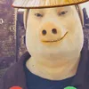 daibang83011