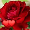 imran.muhammad319