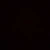 azys.alkhazini