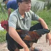phat.nguyen.minh3