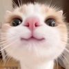 mariam25_3