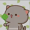 cayaccthue11