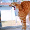 derkater4