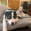alicerose_088