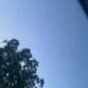 anastasia._421