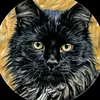 gata_prata