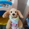 boknoy6266