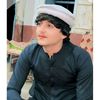 hawar__gull