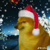 souzasxwt