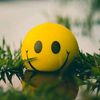 its_amit_0.2