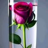 md.sakib1647