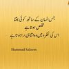 sabir.khan5624