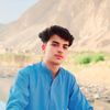 farzad.rashedy