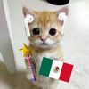 skibidimexican