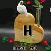 halima.adowle