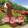 nmay_b4ran_