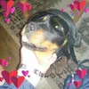 manzat.cosmin