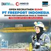 PT FREEPORT INDONESIA