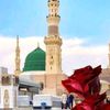 mushtaqraza869