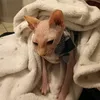 leone.il.cucciolo