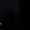 _zebariii33