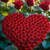 user10992412475078