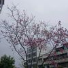 ursweetchaos02