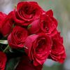 www.kamrankhan.com