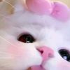 kiya_1289