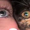 abbyhatesyouu