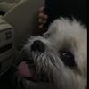 sam02_25