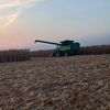 random_farm_kid10