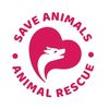 poor.animals0