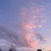 .dhdbdhdbfy