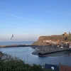 grwxeliza
