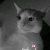 oumouhourayra5