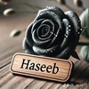 haseeb.khan3133