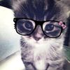 sillysilly018