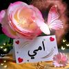 fatehbensid7