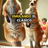 david.farfan10