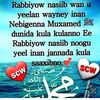 rahmoruuxii2
