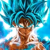 goku.san21