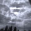 vlxyne_