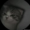 roberto_961