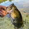 m.fishingg