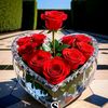 user2119105006781