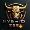 hybrid.zee